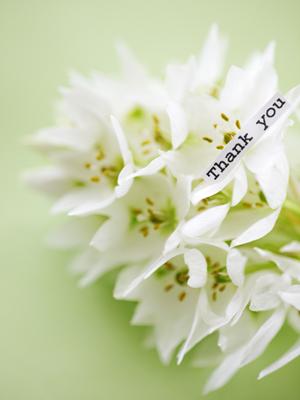 自然になじむ医療用ウィッグを探すなら