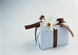 デジタルサイネージを安い価格で売る店